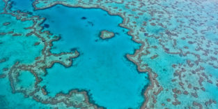 Luftaufnahme Great Barrier Reef