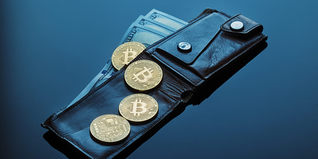 Bitcoin: So schützen Sie Ihre Kryptowährungen richtig vor Diebstahl