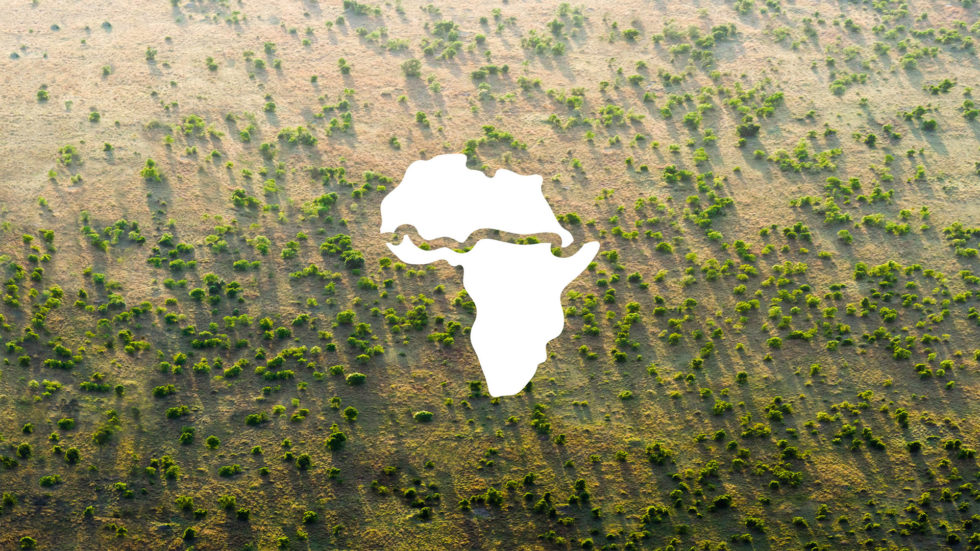 Das Projekt wird von Great Green Wall unterstützt. Foto: Great Green Wall