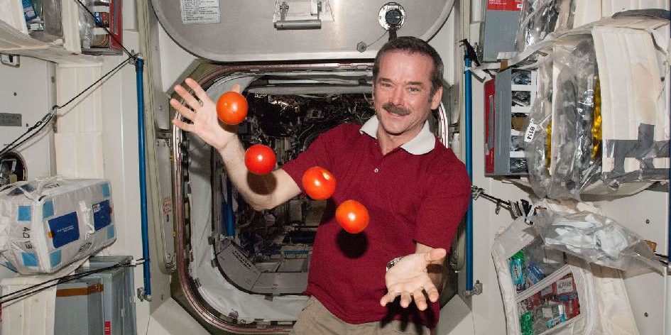 Astronaut Christ Hadfield hat Spaß mit Tomaten und Schwerelosigkeit: Doch warum ist man eigentlich schwerelos auf der Internationalen Raumstation ISS? Foto: Nasa