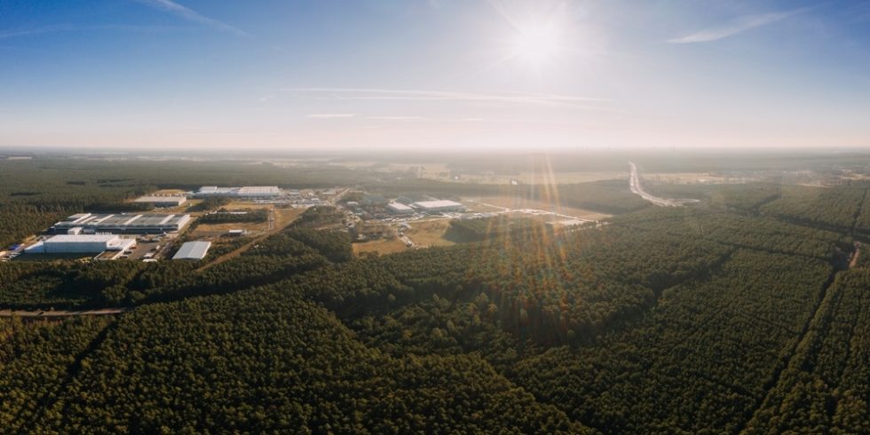 Weitwinkel-Drohnenaufnahme mit Waldpanorama der Grunheide Berlin-Brandenburg Ort für die neue tesla gigafactory europe