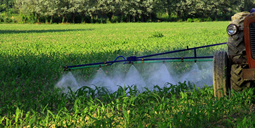 Nach den Dürrejahren 2018 und 2019 stieg die Nachfrage von Pestiziden in den letzten Jahren wieder an. Foto: PantherMedia / derviş