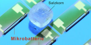 Kleinste Batterie Illustration