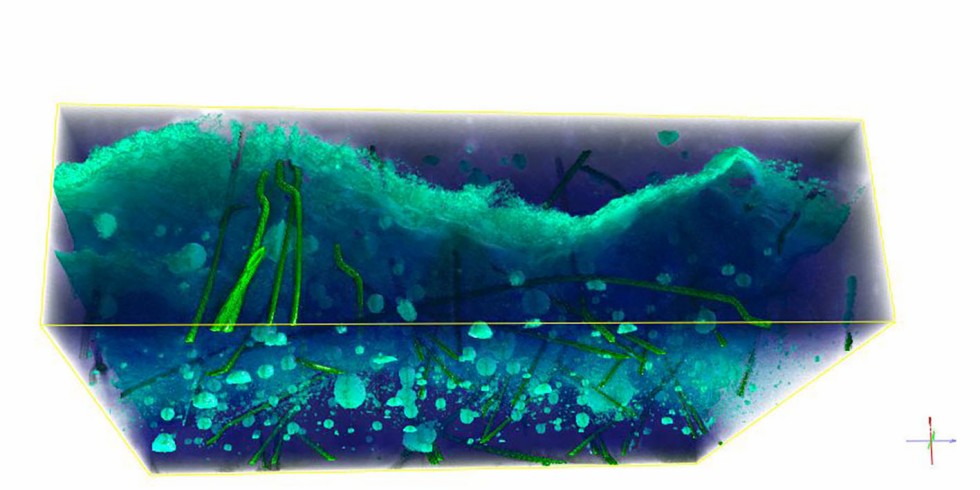 Visualisierung im CT-Bild: Darstellung des Risses in dem Beton-Probekörper, der im nächsten Bild unten auf der linken Seite zu sehen ist. Foto: Fraunhofer ITWM