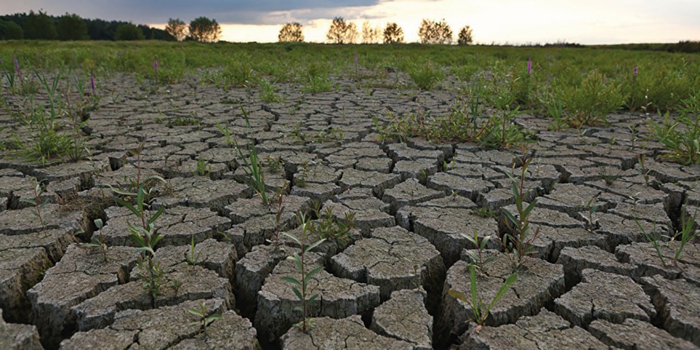 Noch haben die Böden Ressourcen, Kommt es jedoch zu einem stabilen Hoch könnte wieder dies zu einer Dürreperiode führen. Foto: PantherMedia / StarkO