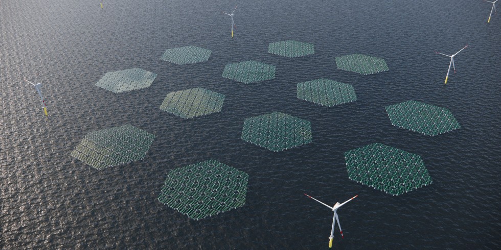 So sollen künftig die Solarpanele zwischen Offshore-Windkraftanlagen schwimmen. Sie sind vor Wellen und Seegang geschützt, da sie mehrere Meter über der Wasseroberfläche angebracht sind. Foto: SolarDuck