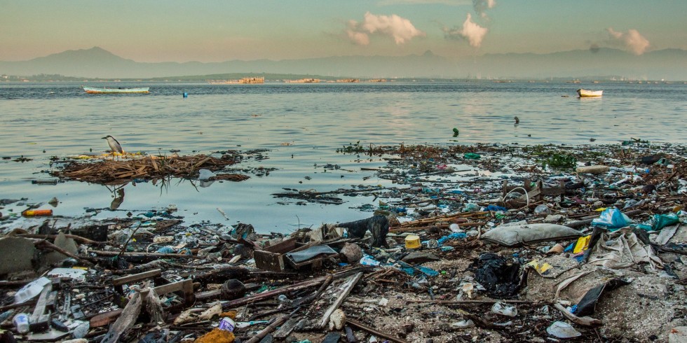 Die Guanabara-Bucht in Rio de Janeiro. Im ruhigen Wasser schwimmen tonnenweise Abfälle. Foto: BlackForest Solutions