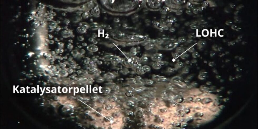Katalysator mit feinen Gasbläschen