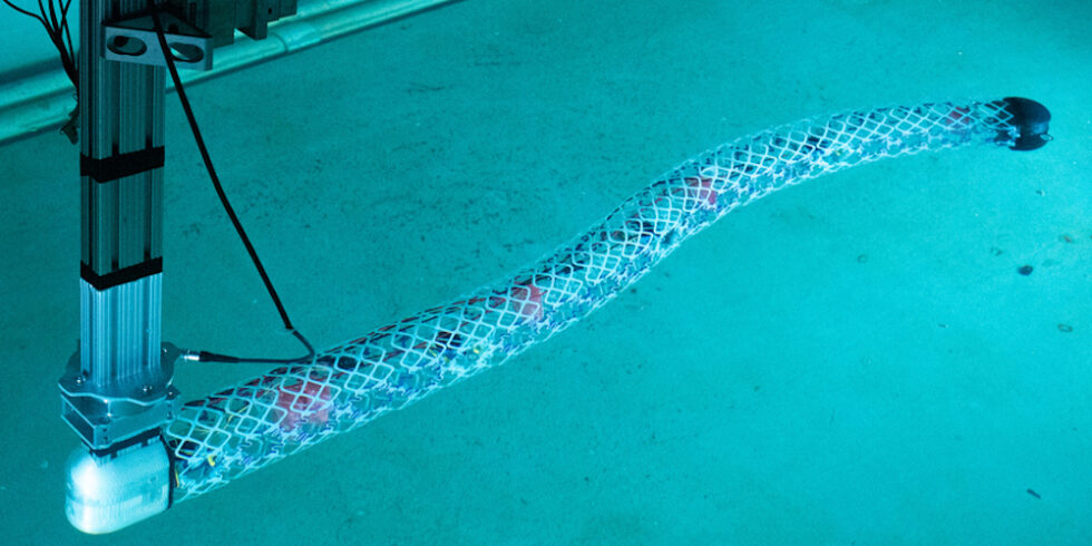 Schwimmender Roboter ähnelt einer Schlange.