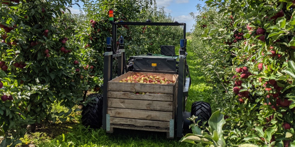 Erntehelfer „AurOrA“ wird künftig autonom durch die Reihen der Apfelplantage navigieren und Obstkisten detektieren, aufnehmen und an einen definierten Entladepunkt transportieren.  Foto: hochschule 21