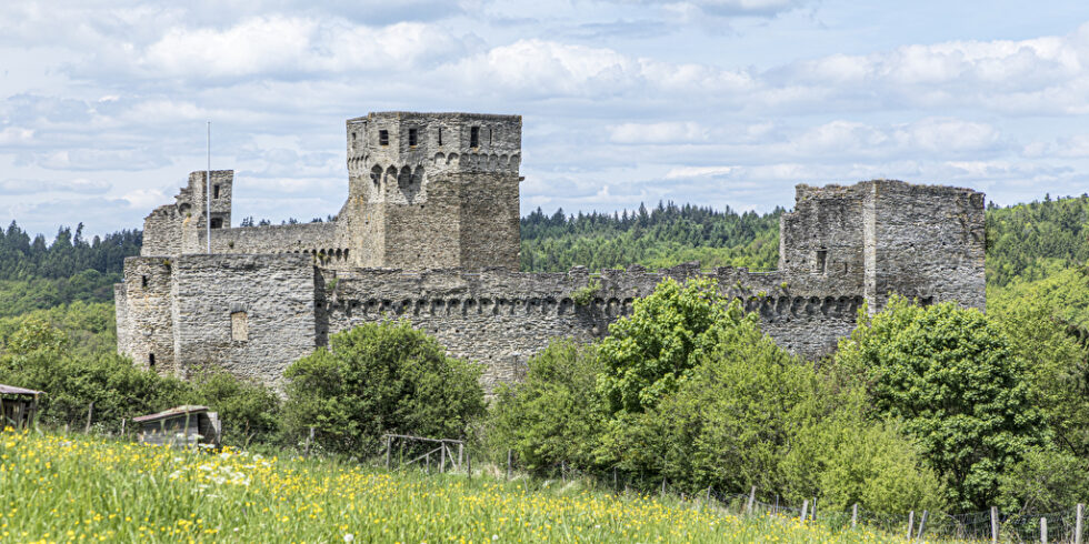 Burg Hohenstein