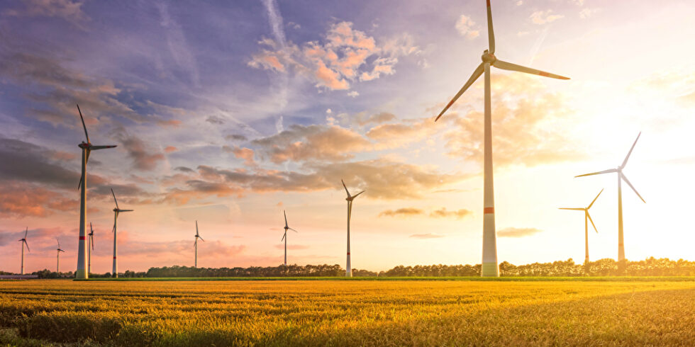 Energie vom Acker - Windkraftanlagen