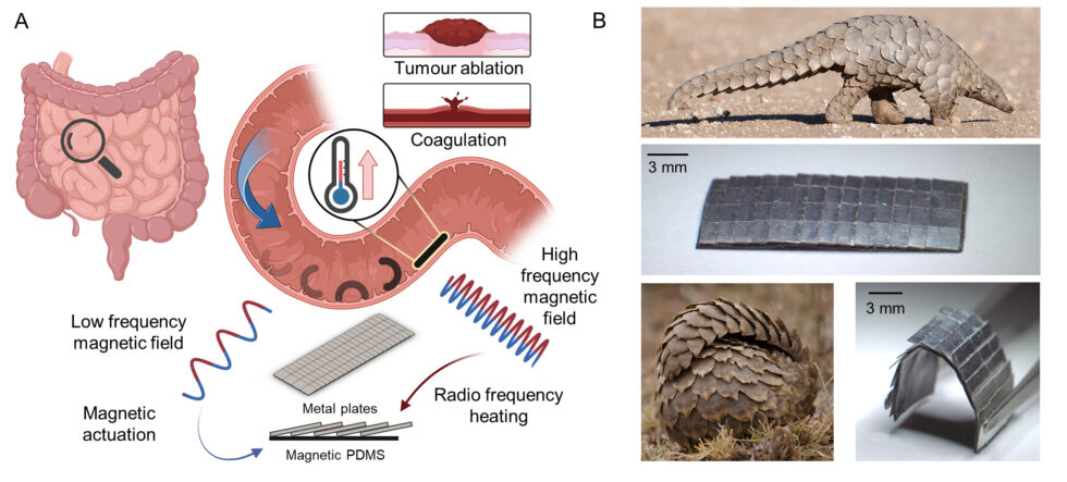 Softroboter