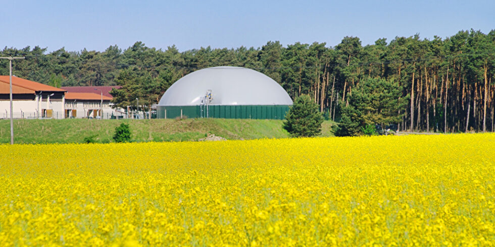Biogasanlage hinter einem Rapsfeld