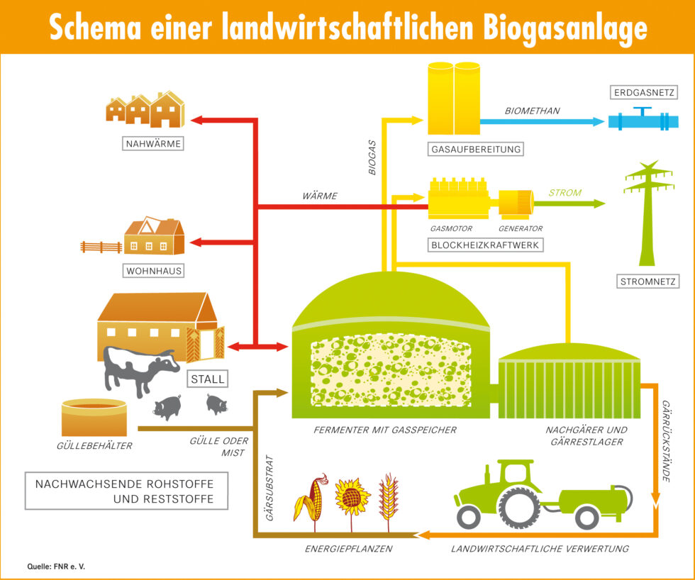 Herstellung von Biogas