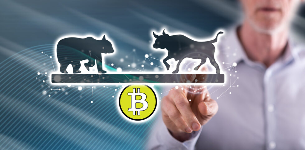 Bitcoin Bulle und Bär