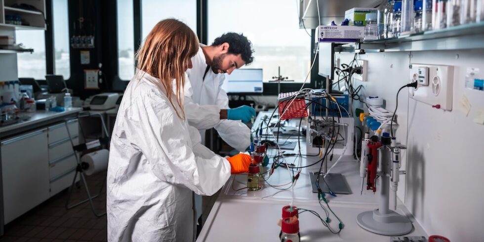 Die Forschenden im Labor mit ihren Versuch aus Darmbakterien Strom zu erzeugen