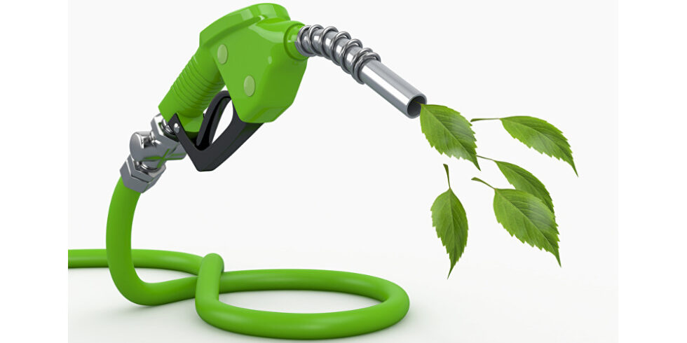 Symbolbild Biokraftstoff