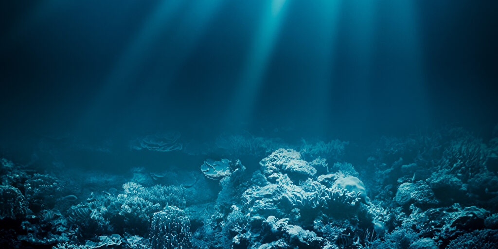 Sind Unterwasser-Solarzellen der Schlüssel zu einem tieferen Verständnis der Ozeane?