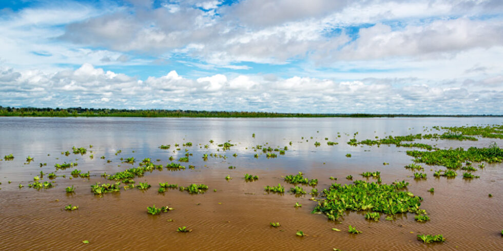Amazonas-Fluss als Beispiel