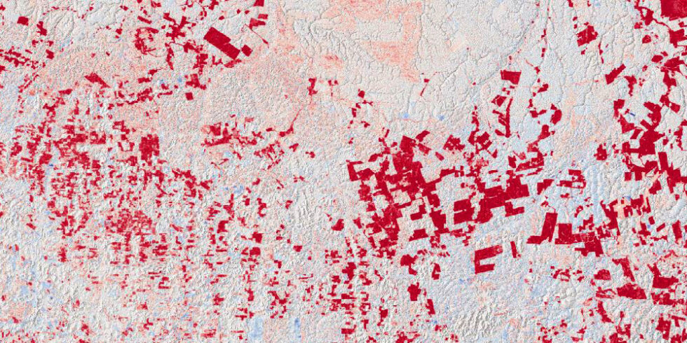 Rodungsmuster wie hier im brasilianischen Bundesstaat Pará zeichnen sich in den TanDEM-X DEM Change Maps sehr deutlich durch die rot markierten Höhenabnahmen ab. Foto: DLR