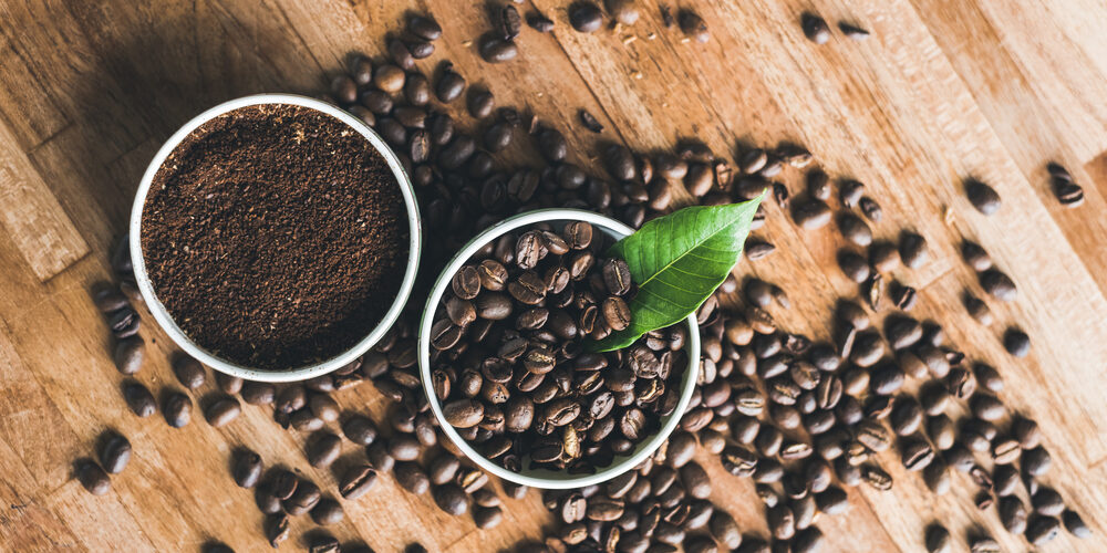 Schützt alter Kaffeesatz vor Parkinson?