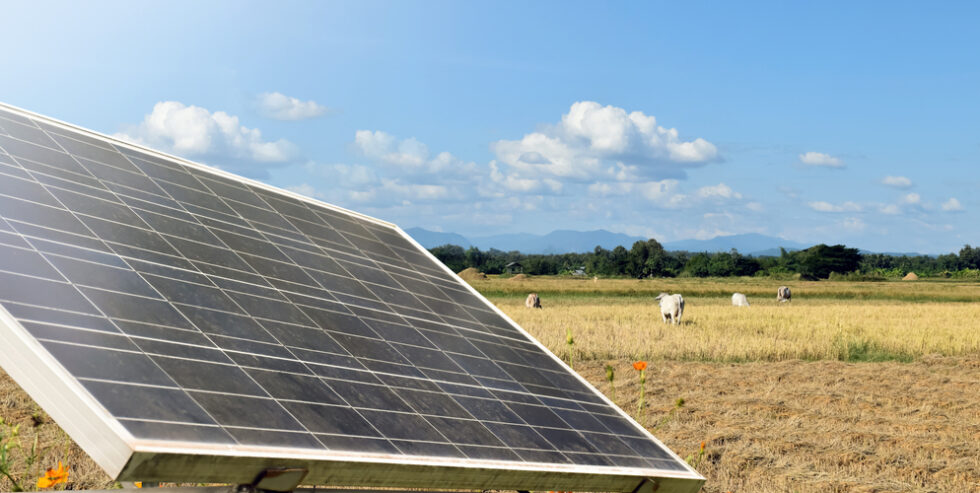 Solar-Modul auf einem Feld