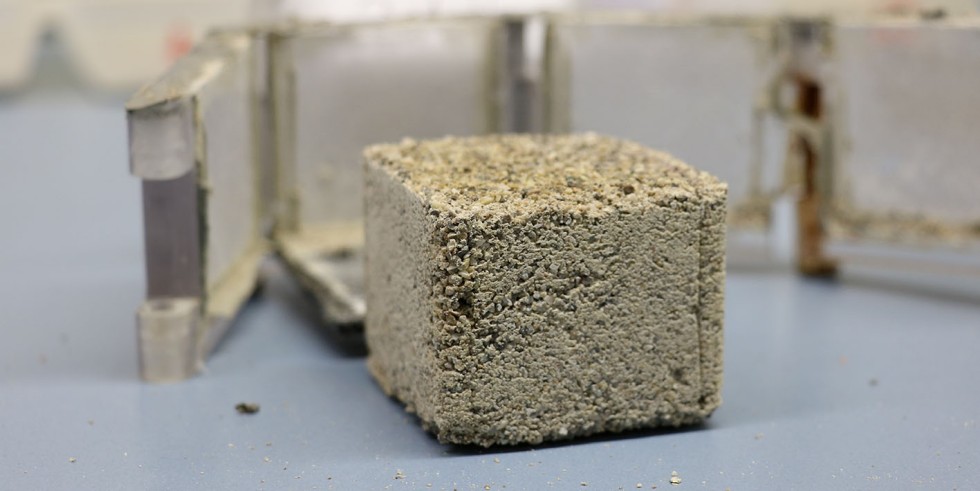 Die in den Beton gemischten Bakterien können Risse durch den produzierten Kalk wieder schließen. Foto: Johanna Weber 
