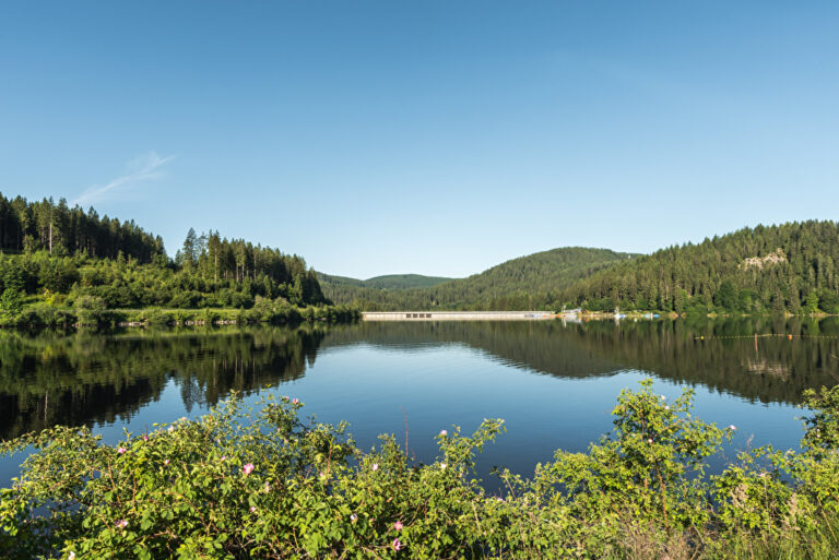 Schluchsee