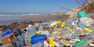 Plastik im Meer