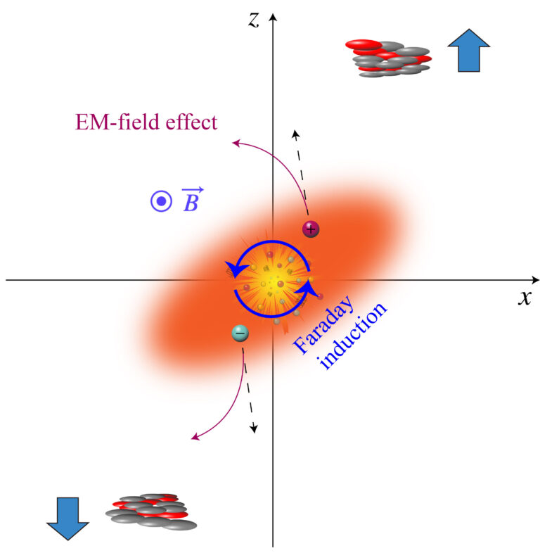 Draufsicht auf eine außermittige Schwerionenkollision. Der schnelle Zerfall eines ultrastarken Magnetfelds (B) induziert durch Faraday-Induktion einen elektrischen Strom, der die Flugbahn geladener Teilchen beeinflusst. Der Grad der Ablenkung steht in direktem Zusammenhang mit der Leitfähigkeit des Quark-Gluon-Plasmas (QGP), so dass die Wissenschaftler diese wichtige Eigenschaft messen können.