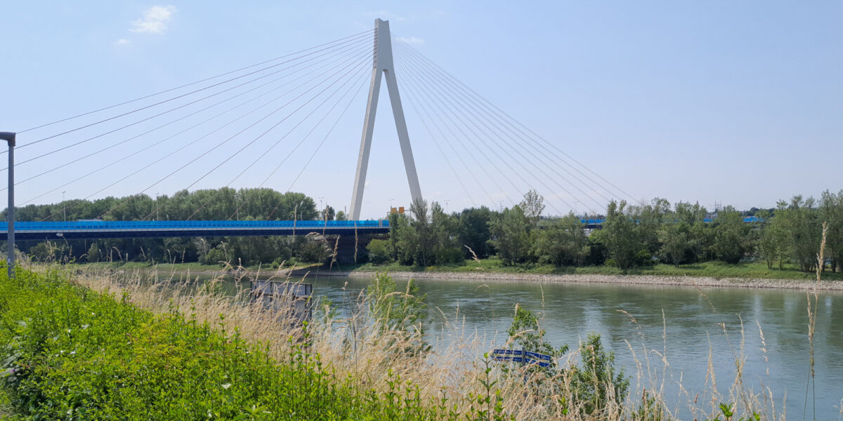 Die Raiffeisenbrücke bei Neuwied mit dem Pylon auf der Rheininsel „Weißenthurmer Werth“. Foto: Maurer