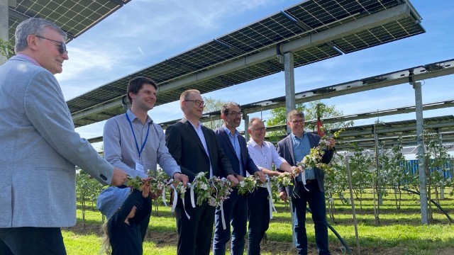 Eröffnung der fünften Anlage der "Modellregion Agri-Photovoltaik für Baden-Württemberg" auf dem Obsthof Vollmer in Oberkirch-Nussbach. Foto: Fraunhofer ISE