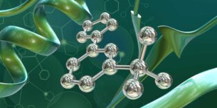 Darstellung der Moleküle, die eine KI entworfen hat.