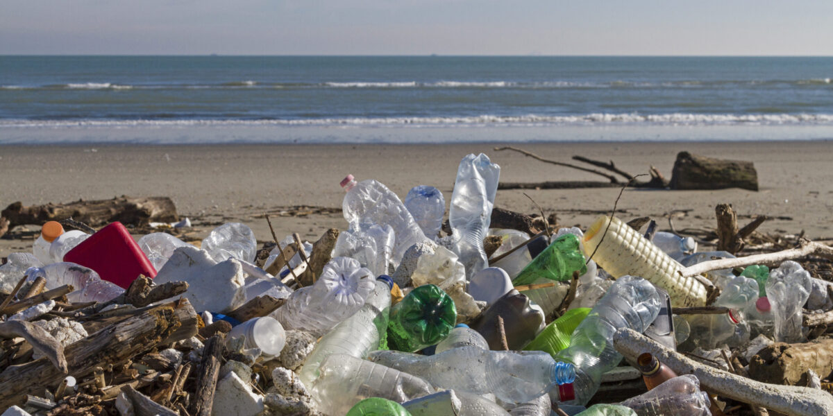 Plastikmüll in der Umwelt