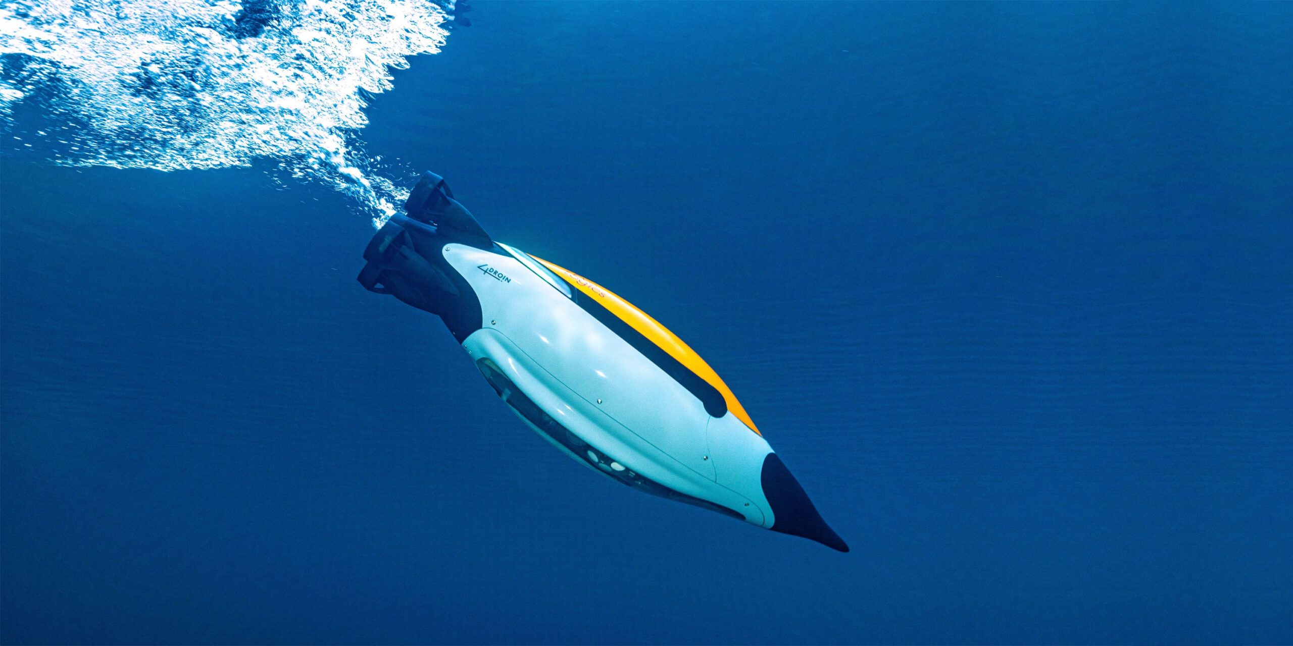 Roboterpinguin Quadroin soll mit Hilfe von KI die Meere erkunden