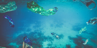 Plastikmüll im Meer