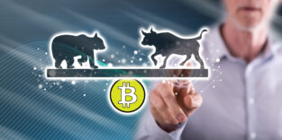 Bitcoin Bulle und Bär