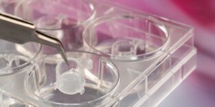 Laborsituation mit einer künstlichen Reporterhaut