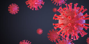 PantherMedia 28954364