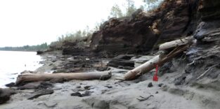 Uraltes Holz in Sibirien