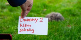 Igel-Dummies auf einer Wiese sollen mit Crashtests helfen, Mähroboter igelsicherer zu gestalten.