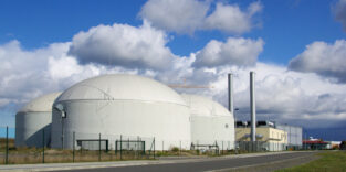 PantherMedia 2585869