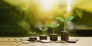 PantherMedia B364163790