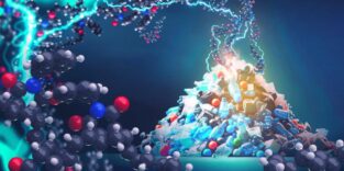 Upcycling von Plastikabfällen