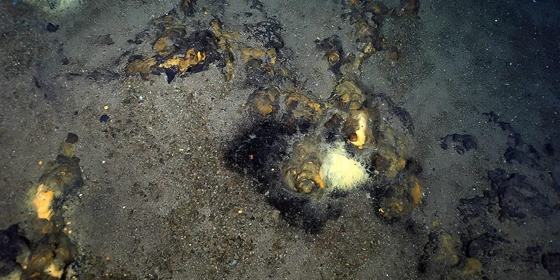 Heiße Quellen in der Arktis: Hotspots des Lebens entdeckt