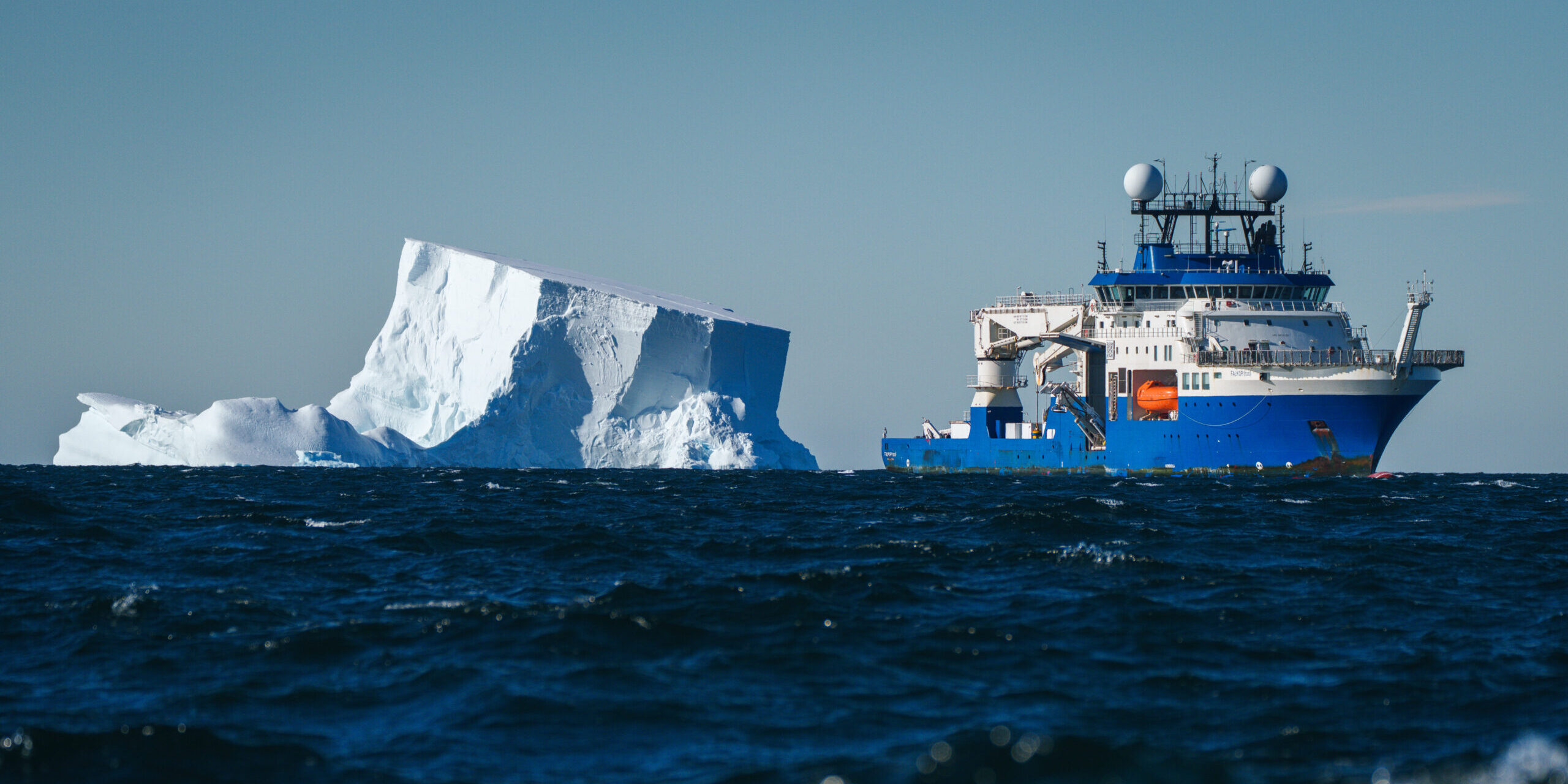 Tiefsee-Überraschung: Neue Ökosysteme unter Eisberg A-84