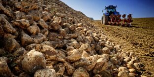 PantherMedia B32634291