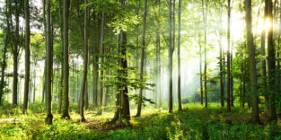 PantherMedia B248408188