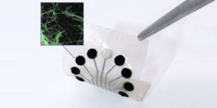 Der von der UCLA entwickelte TMR-Sensor ermöglicht die Echtzeitüberwachung einer Vielzahl von Metaboliten